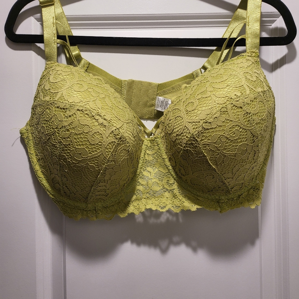 Ashley Stewart Bra